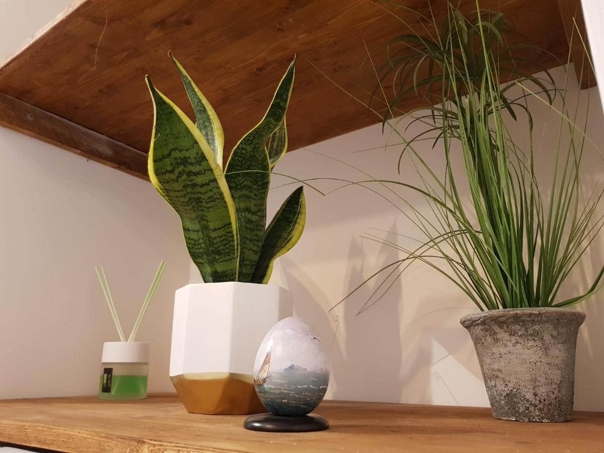 Vesuvio Apartment Наполи Екстериор снимка